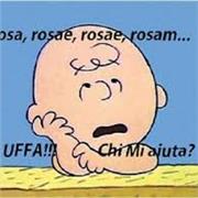 Laureata in lettere moderne, docente agli Istituti di I e II grado, offre lezioni private in materie scolastiche di: italiano, storia e latino